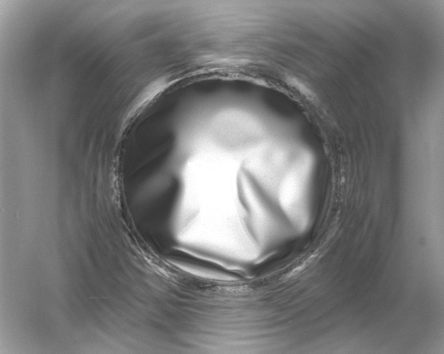 X0000055981354200509162214