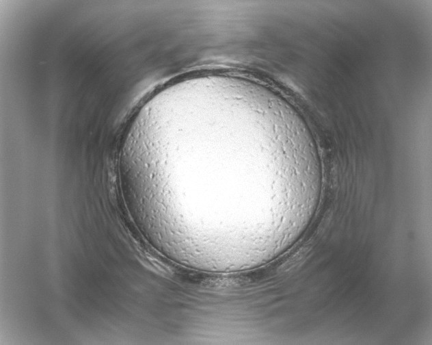 X0000055981355200509162214