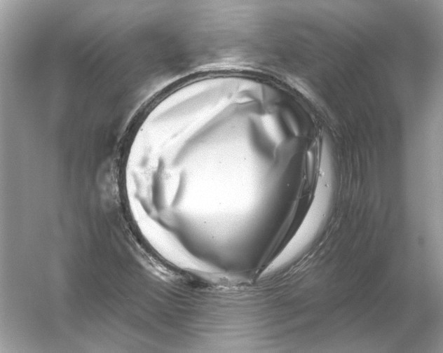 X0000055981356200509162214