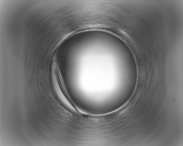X0000055981361200509162214