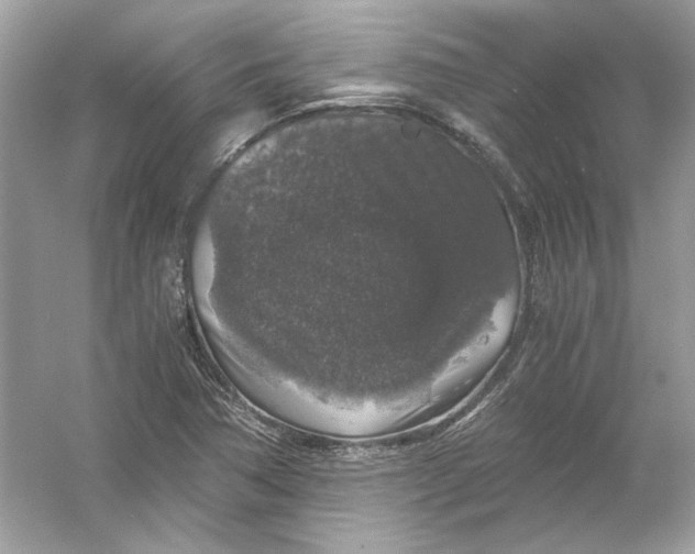 X0000055981362200509162214