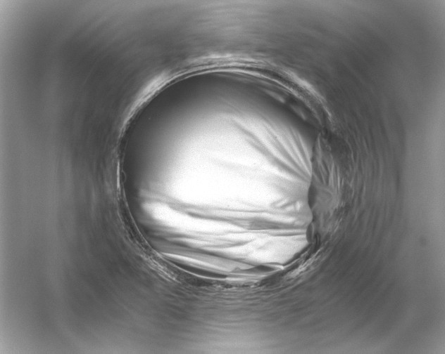 X0000055981365200509162214