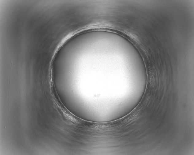 X0000055981366200509162214