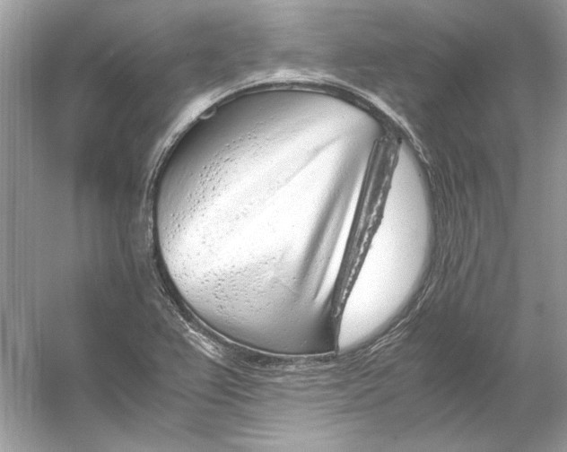 X0000055981367200509162214