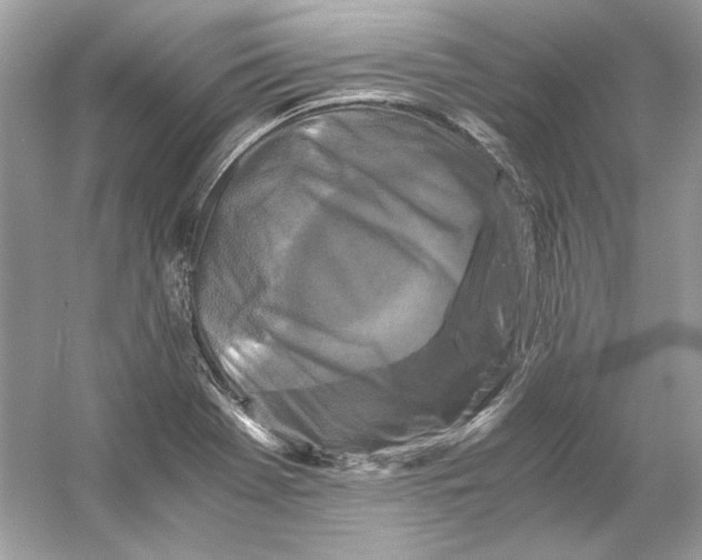 X0000055981369200509162214