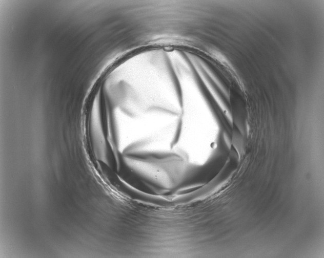 X0000055981376200509162214