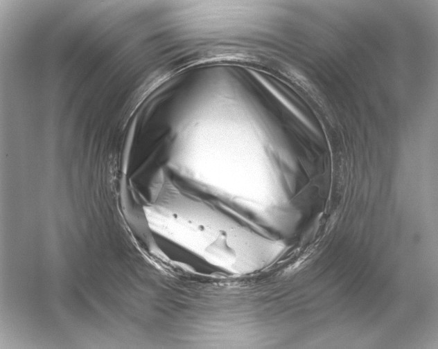 X0000055981377200509162214