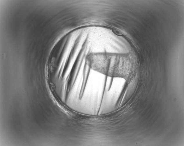 X0000055981383200509162214
