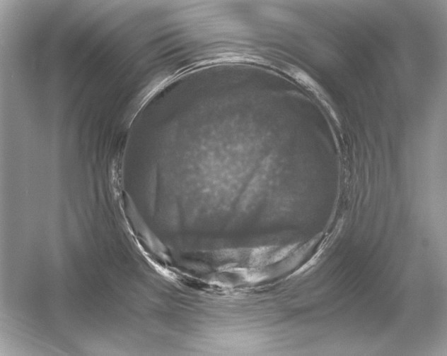 X0000055981385200509162214