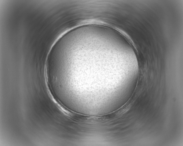 X0000055981391200509162214