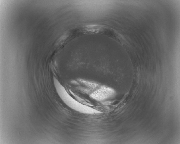 X0000055981394200509162213
