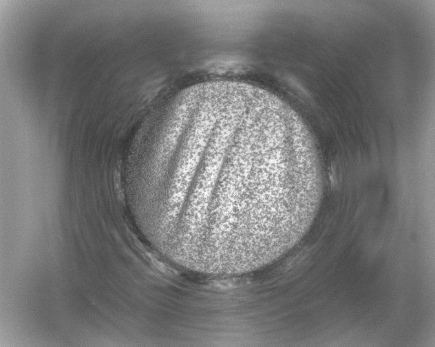 X0000055981396200509162213