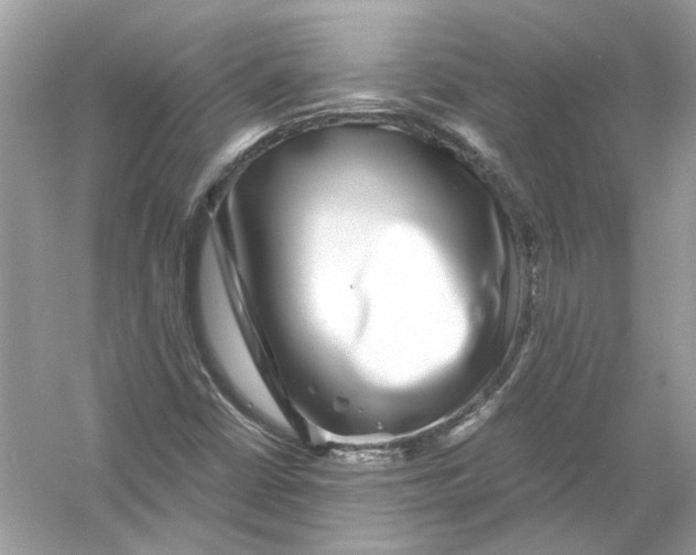 X0000055981402200509162213