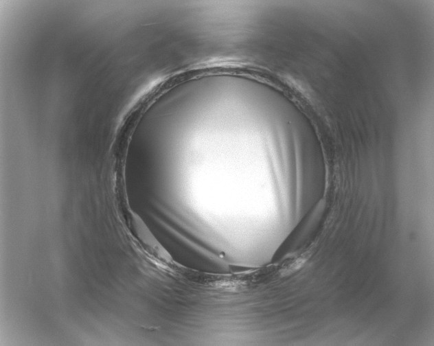 X0000055981406200509162213