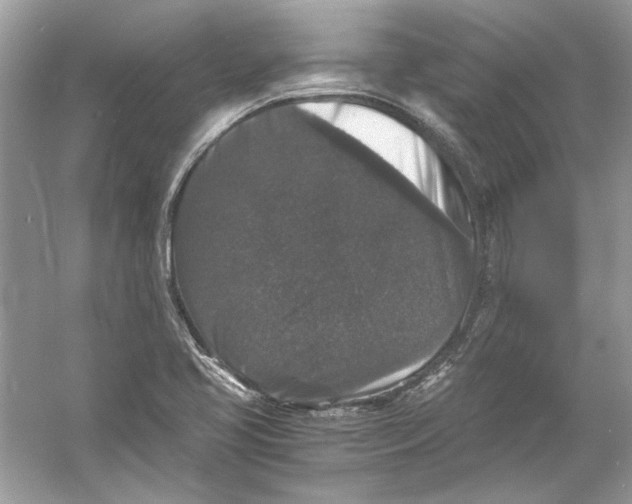 X0000055981413200509162213
