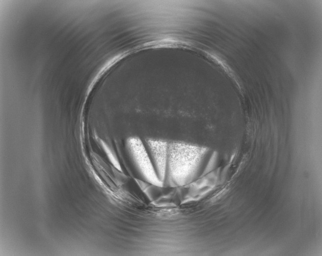 X0000055981418200509162213