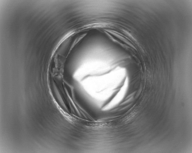 X0000055981426200509162213