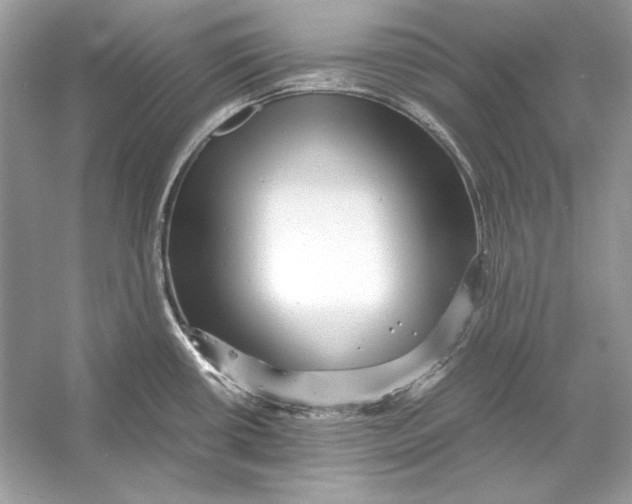 X0000055981434200509162214