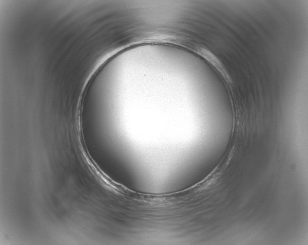 X0000055981436200509162214