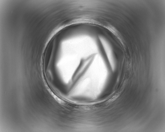 X0000055981438200509162214