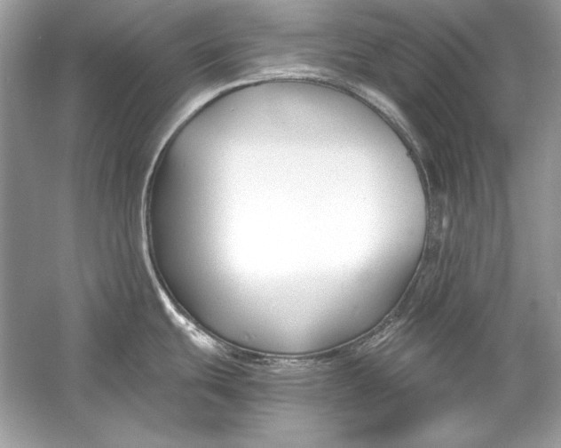 X0000055981439200509162214