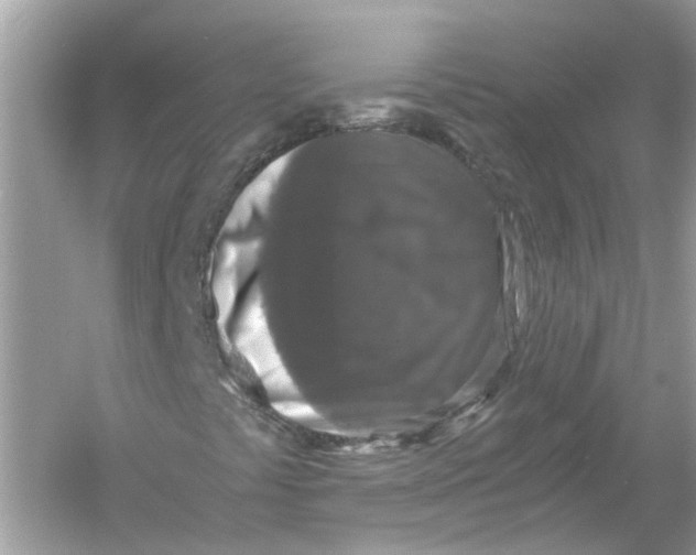 X0000055981441200509162213