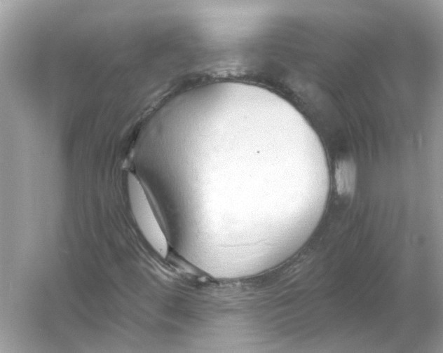X0000055981444200509162213