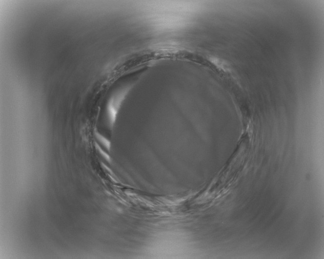 X0000055981445200509162213