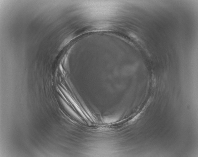 X0000055981449200509162213