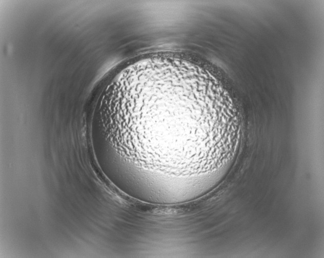 X0000055981450200509162213