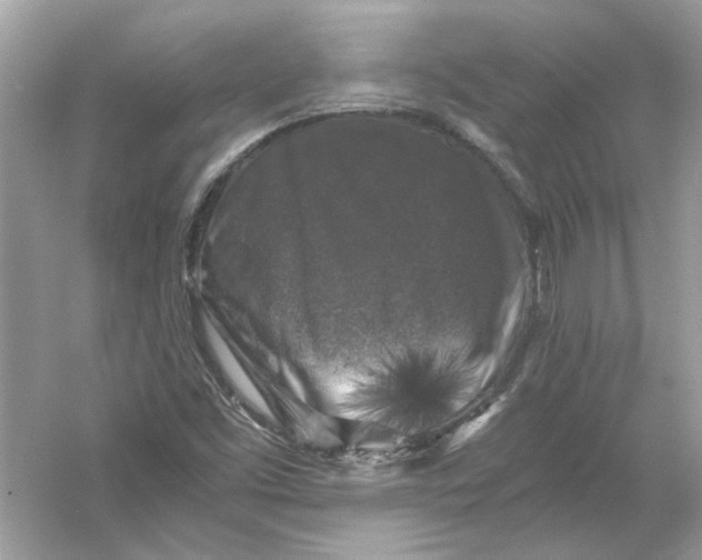 X0000055981453200509162213