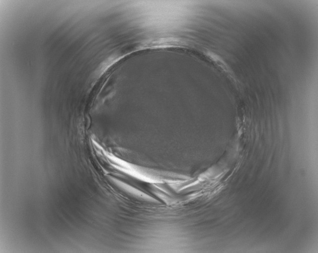 X0000055981457200509162213