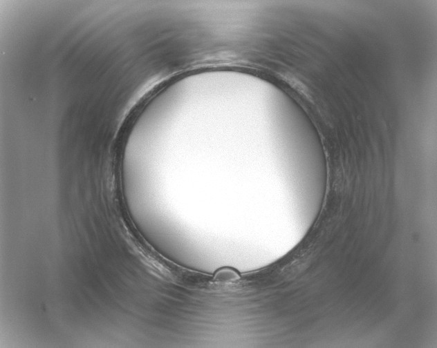 X0000055981458200509162213