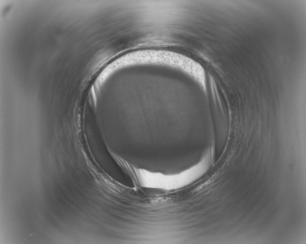 X0000055981459200509162213