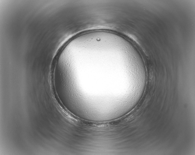 X0000055981460200509162213