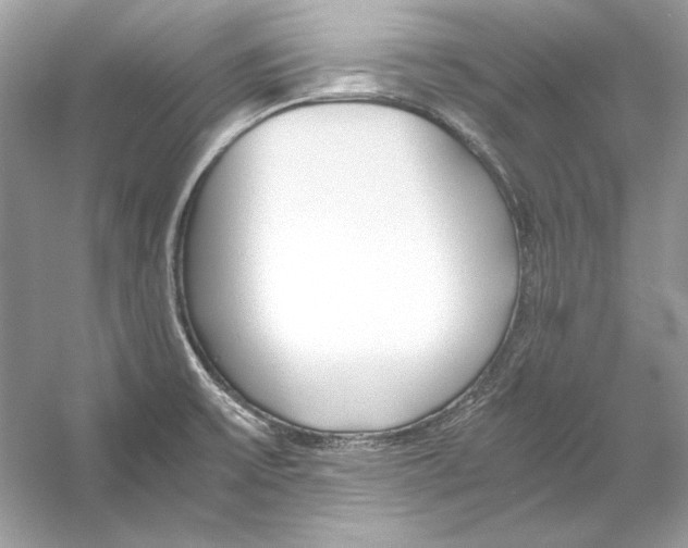 X0000055981475200509162212
