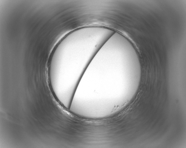 X0000055981476200509162212