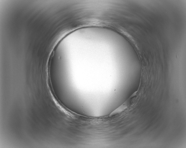 X0000055981479200509162212