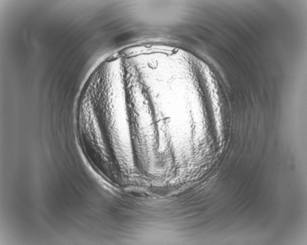 X0000055981483200509162212