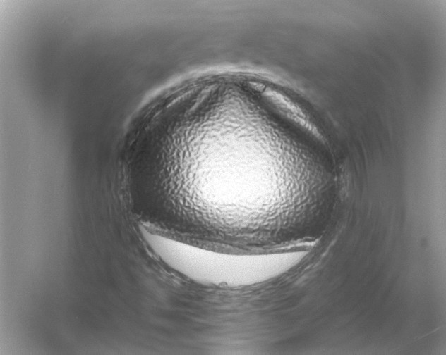X0000055981494200509162211