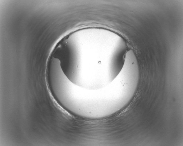 X0000055981518200509162212
