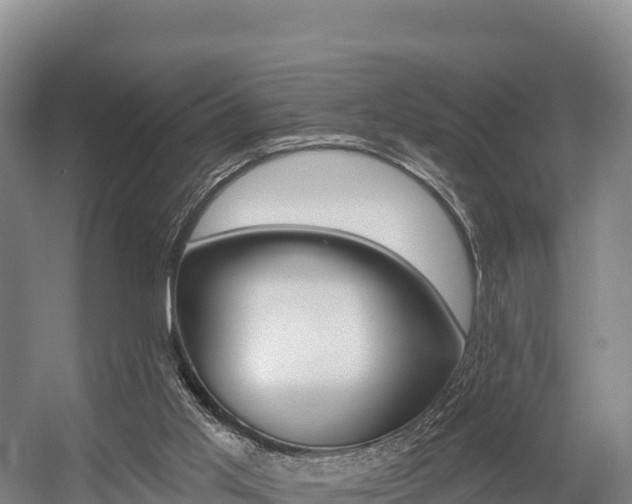 X0000055990013200508190807