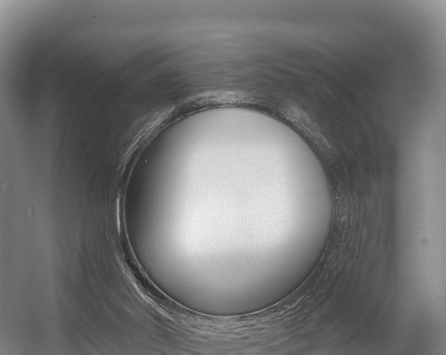 X0000055990014200508190807