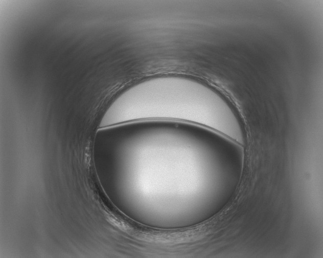 X0000055990017200508190807
