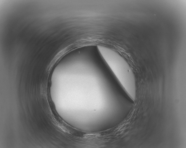 X0000055990051200508190806