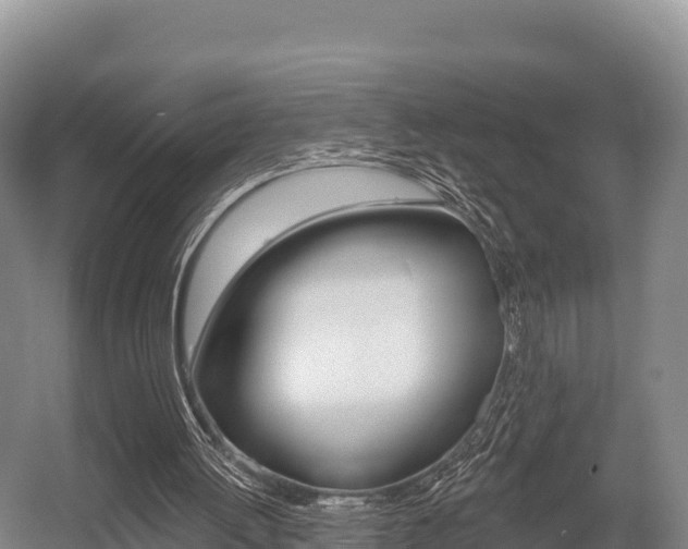 X0000055990052200508190806