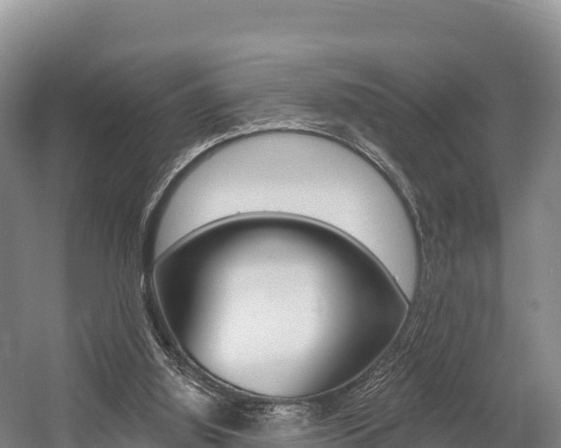 X0000055990060200508190806