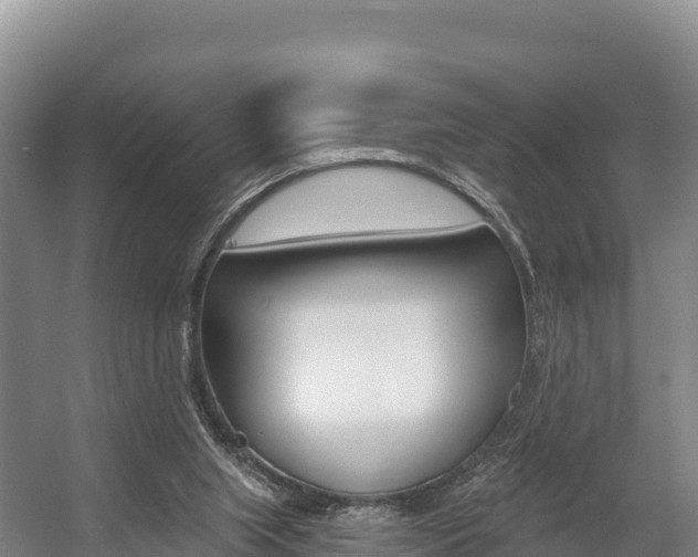 X0000055990063200508190806