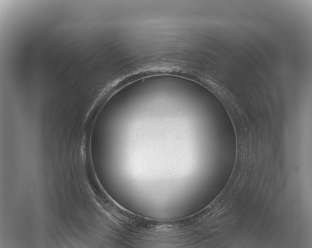 X0000055990064200508190806