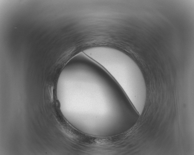X0000055990070200508190806